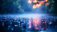 Peindre par temps de pluie : risques et conseils de pros