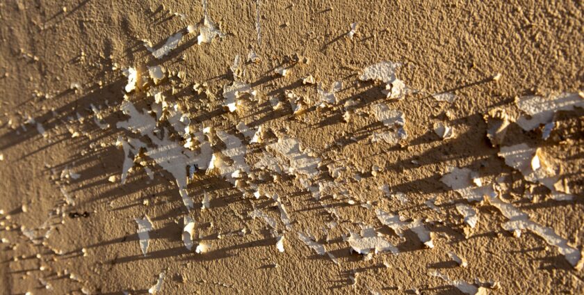 Peinture qui cloque sur un mur : exemple de cloquage de peinture